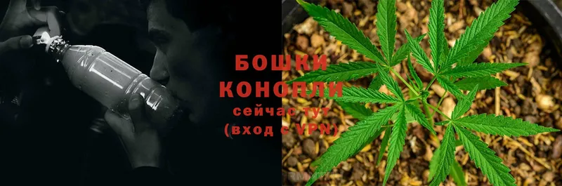 Бошки марихуана White Widow  Боровичи 